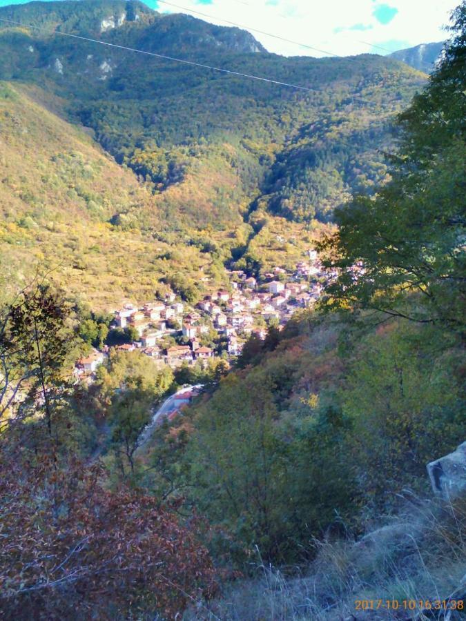 Vila บาคโคโว ภายนอก รูปภาพ